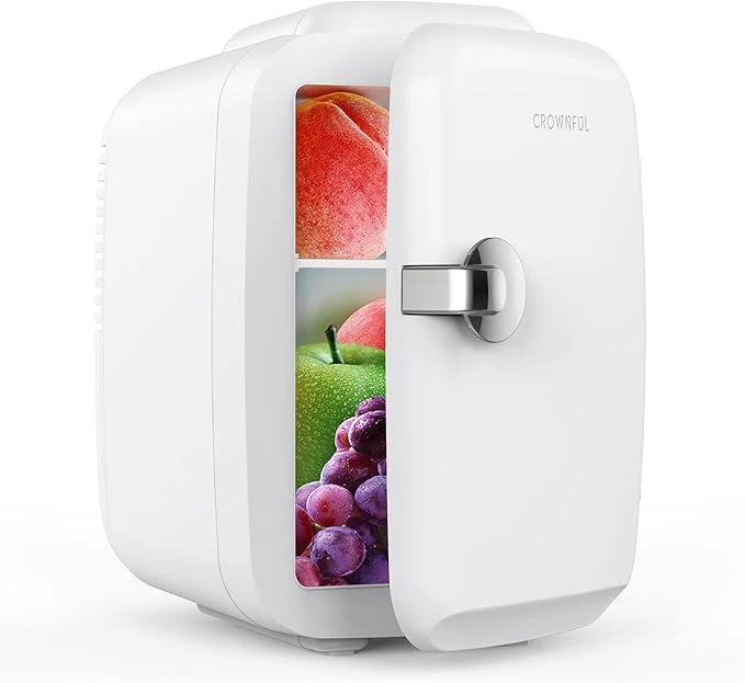 Mini Fridge Portable Cooler And Warmer Personal Refrigerator