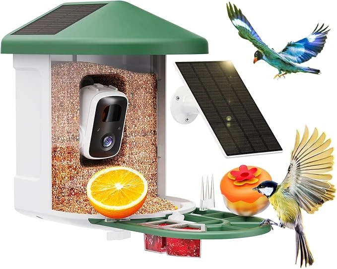 Bird Feeder With Camera