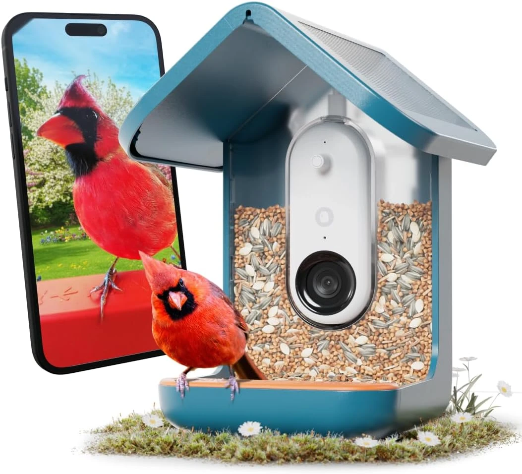 Birdbuddy PRO Solar Smart Bird Feeder With Camera