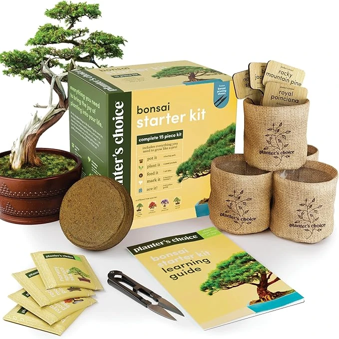 Bonsai Starter Kit