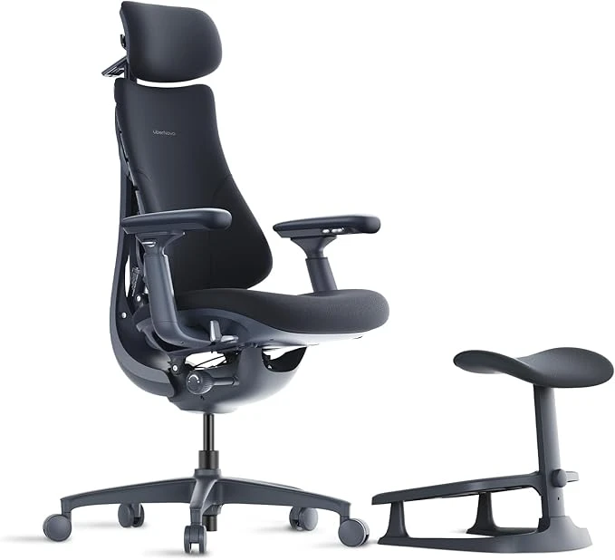 Dynamic Ergonomic Desk Chair StepSync Footrest Bundle