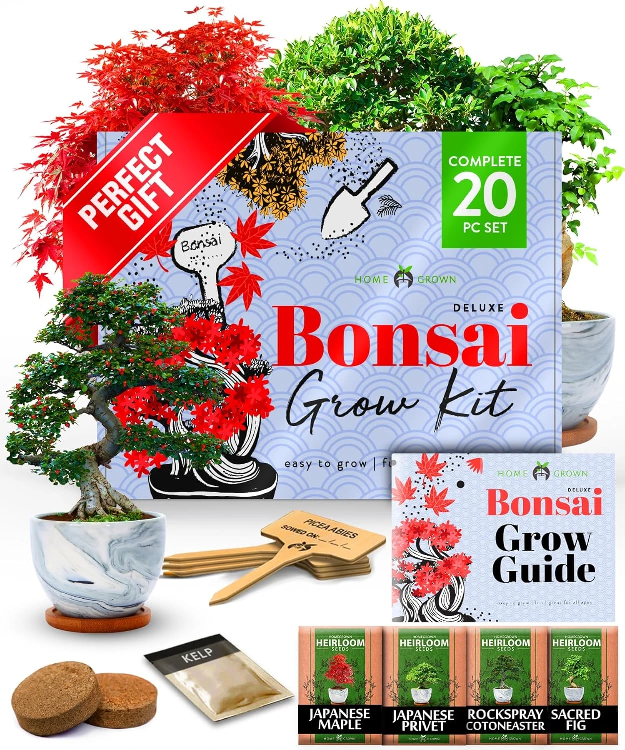 HOME GROWN Bonsai Tree Kit