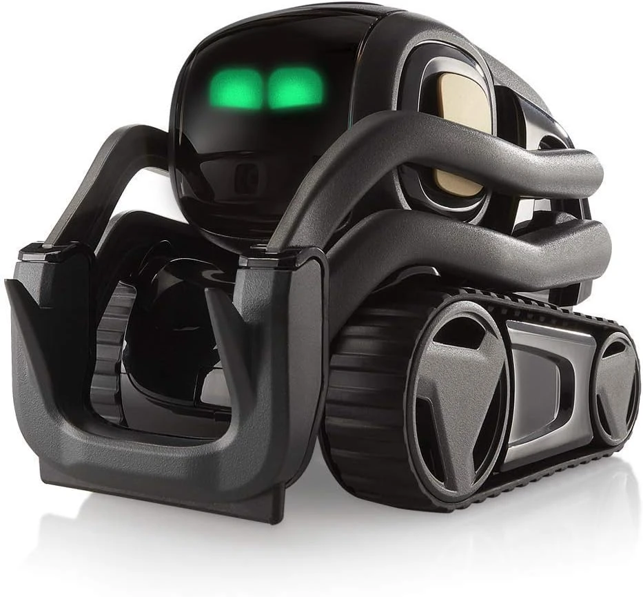 Home Robot With Face Recognition And Voice Conversations
