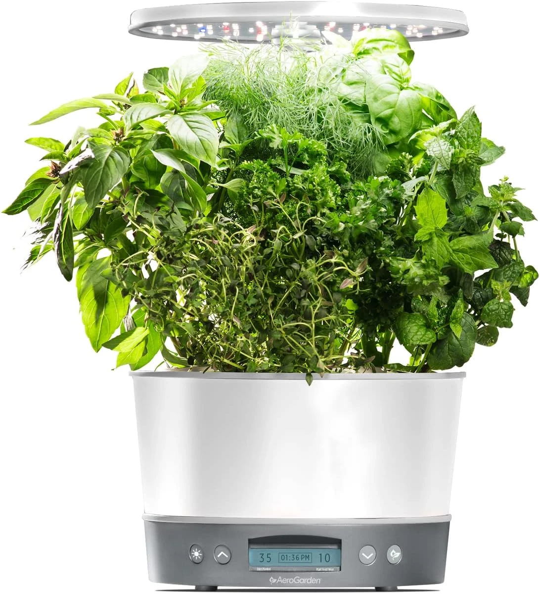Indoor Garden Hydroponic System