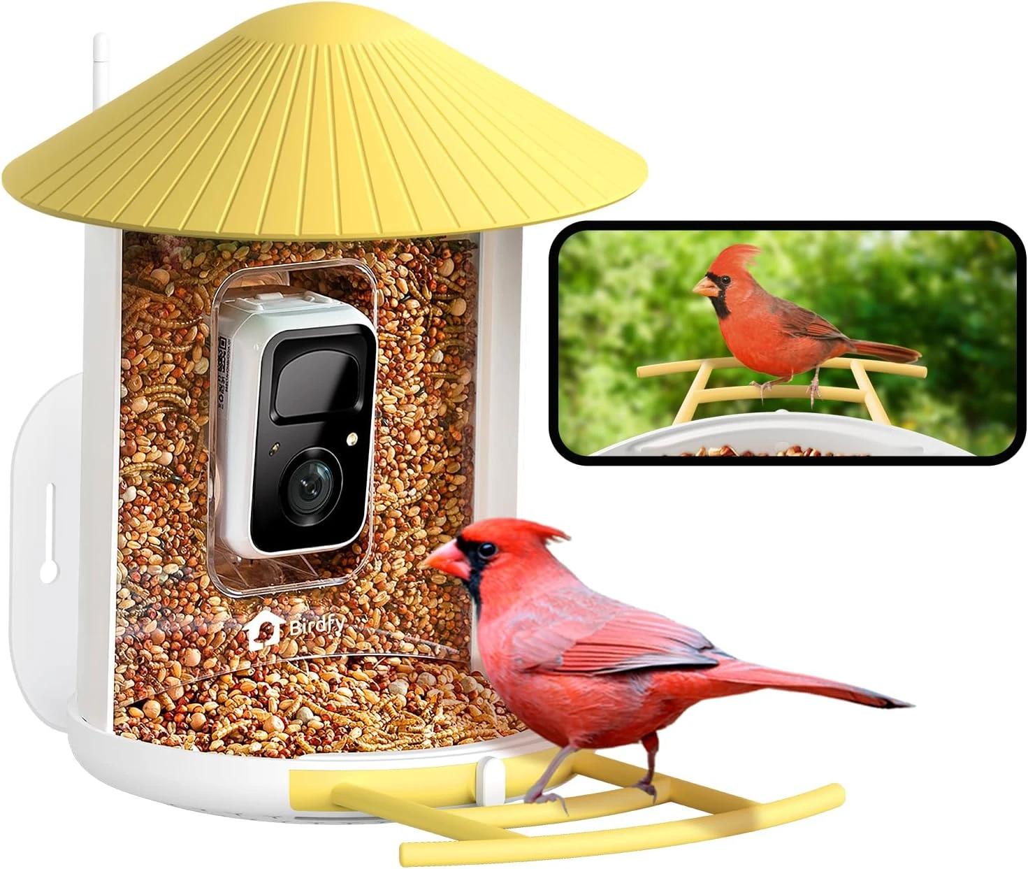 NETVUE By Birdfy Smart Bird Feeder With Camera