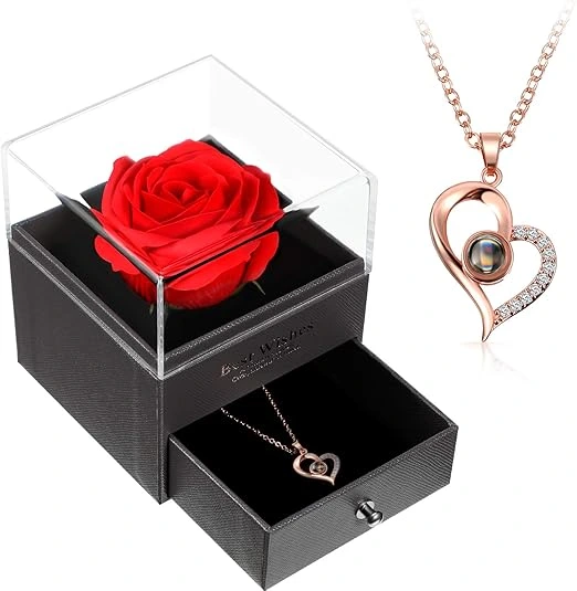 Projection Necklace Heart Pendant