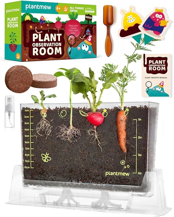 Root Viewer Kit For Kids With  Seed Varieties