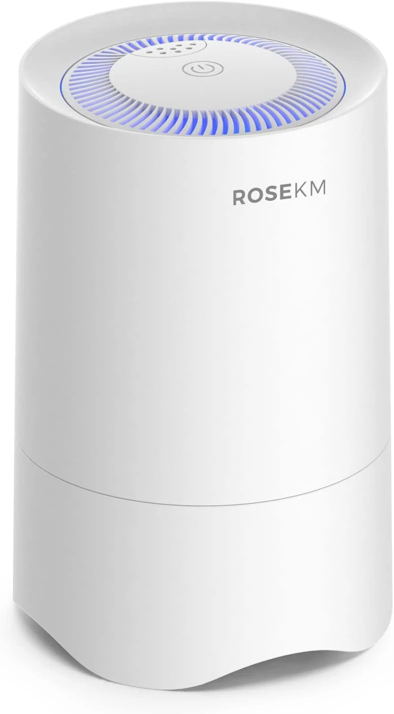 Small Air Purifier For Home