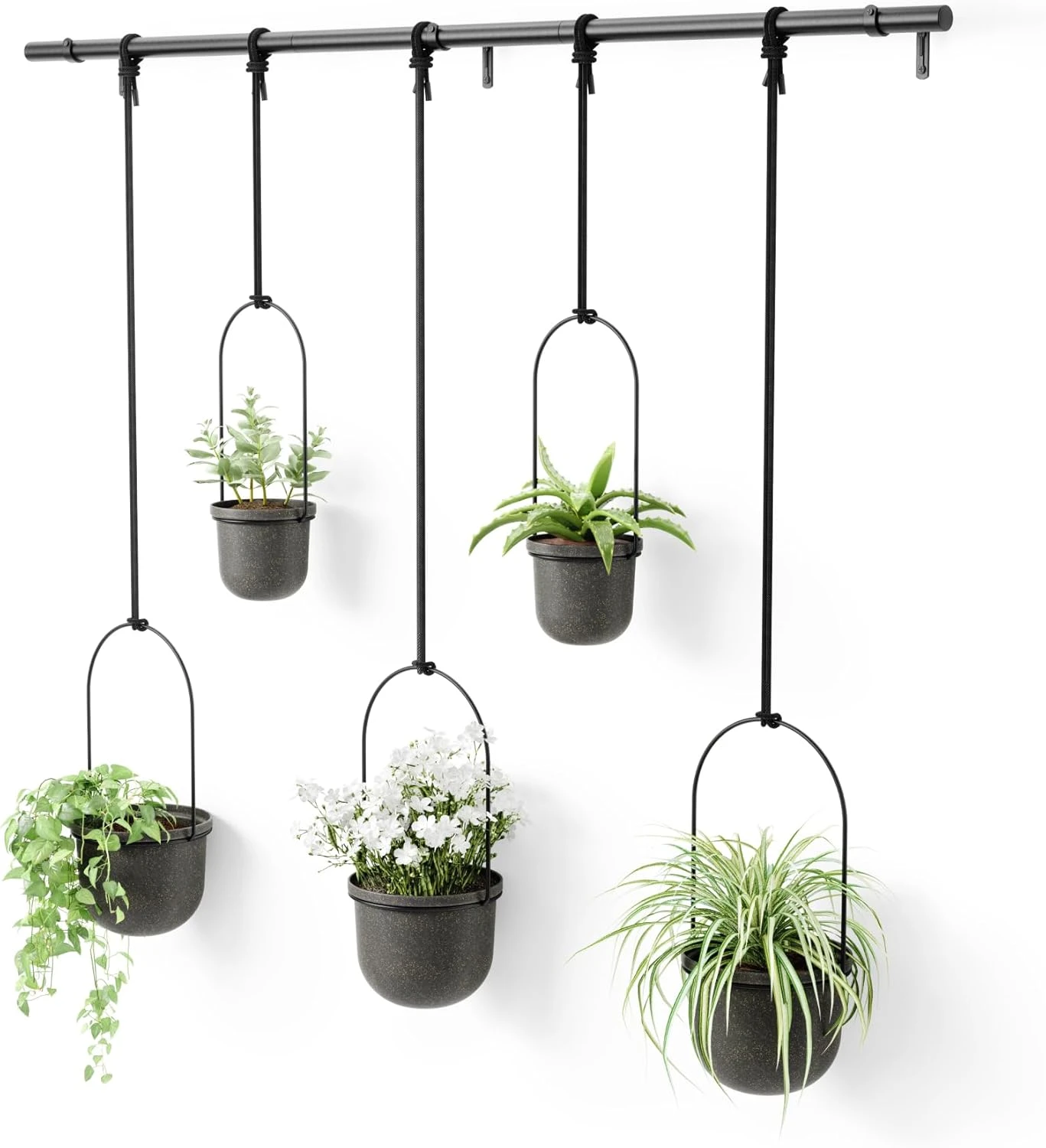 Umbra Triflora Hanging Planter For Window