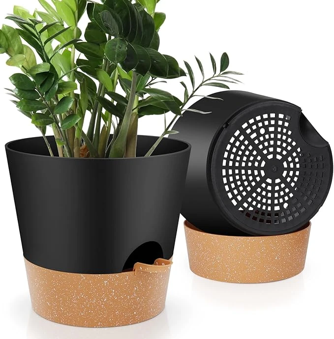 Self Watering Plant